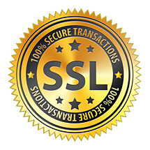 pennypicks-SSL-security-seal2